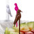 唛唛 时尚创意鸟笼水果叉套装 环保易放置水果签第4张高清大图