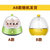 九阳（Joyoung）煮蛋器早餐蒸蛋 家用可煮5个蛋ZD－5J91(白色 热销)第2张高清大图