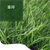 亿景鸿基 人造草坪 室外绿化景观装饰幼儿园高尔夫草坪加密仿真草坪四色假草坪 YCP01(蓝色 2米*25米)第4张高清大图