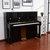 The ONE 立式钢琴 高端全新TC23 德国工艺 进口配件 家庭教学专业级立式钢琴 经典黑第6张高清大图