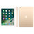 苹果（Apple）iPad 9.7英寸平板电脑 32G WLAN+Cellular版 A9芯片 Retina屏 4G版(金色)第2张高清大图