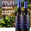 智利原瓶进口AODET安狄斯山200 珍藏赤霞珠干红葡萄酒  智利红酒 750ml(双支装)