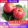 四川大凉山 高山丑苹果 盐源苹果 红富士 单果190g以上 净重5斤大果 生鲜 新鲜水果(5斤)