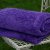 梦洁家纺 海藻绒毯(紫色)第2张高清大图