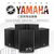 Yamaha/雅马哈 C112V C112VA  C115V  C115VA C215V 系列音箱音响全频音箱 吊装音箱(C115VA)第4张高清大图