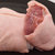湘村黑猪 猪肘块 1000g 肘块 供港猪肉 孕妇儿童放心吃 GAP认证黑猪肉第2张高清大图