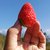 四川现摘新鲜冬草莓5斤奶油草莓中通冷链包邮(草莓5斤80颗左右)第4张高清大图
