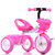 beruty儿童三轮车 2-3岁以上小孩子自行车 男女宝宝脚踏儿童车(A配红色塑料筐)第3张高清大图