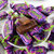 KDV 俄罗斯进口紫皮糖果仁夹心巧克力糖500g第4张高清大图
