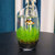 水培植物玻璃生态鱼缸绿萝花盆办公桌面加厚大号鱼缸透明器皿花瓶(深灰色)第4张高清大图