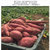 刘陶鲜果 农家自种红薯5斤装（5-18个）水果 新鲜蔬菜（东三省西六省不发）第3张高清大图
