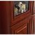 巢湖新雅 实木油漆书柜玻璃门(二门)第4张高清大图