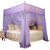 黛格床上用品单双人床奢华蚊帐 不锈钢支架 防蚊 舒适 耐用(SL紫色 默认)第3张高清大图