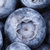 阿丽米罕有机蓝莓可榨汁新鲜水果500g 头茬鲜果给您味蕾不一样的感受 顺丰免运费第4张高清大图