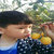 四川米易枇杷新鲜水果坏果包赔 枇杷果约2.7斤装包邮11月25日开始发货第5张高清大图