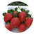 【产地直达】西昌牛奶草莓3/5斤装(5斤装)第5张高清大图