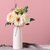 白色陶瓷花瓶花盆水养北欧现代创意家居客厅餐厅干花插花装饰摆件(素烧花瓶（白浅） 中小)第4张高清大图