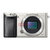 索尼（Sony)）A6000（16-50/55-210）双头套机 微单相机(银色 套餐十)第5张高清大图