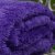 梦洁家纺 海藻绒毯(紫色)第4张高清大图