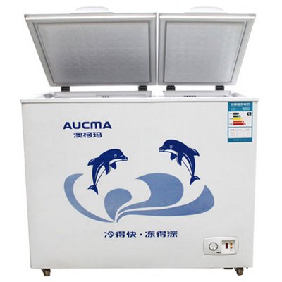 澳柯玛(AUCMA)BCD-287CN 287升白色大容积冰柜