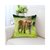 数码印花卡通动物抱枕套家居用品沙发靠垫套(BZ056-24)第8张高清大图