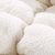 丝香梦家纺 保暖羊羔绒冬被 被子被芯冬被保暖加厚棉被子被褥单人双人被(驼色 150x200cm5斤)第5张高清大图