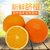 四川金堂脐橙甜橙子5/9斤包邮(金堂脐橙-5斤 脐橙5斤)第5张高清大图