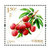 2016-18《水果（二）》邮票 套票第5张高清大图