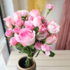 北京杭州居家鲜花 办公室鲜花 按月送花 玫瑰鲜花速递同城送包月鲜花(粉红色)