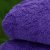 梦洁家纺 海藻绒毯(紫色)第3张高清大图