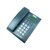 堡狮龙（bossini）HCD133（2）TSDL主叫号码显示电话机（黑色）（自动IP功能、防雷击 ）第2张高清大图
