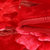 布璐 冬季加厚双层拉舍尔毛毯 11斤加大双人盖毯 婚庆毯子2.2X2.4米(1158大红)第5张高清大图