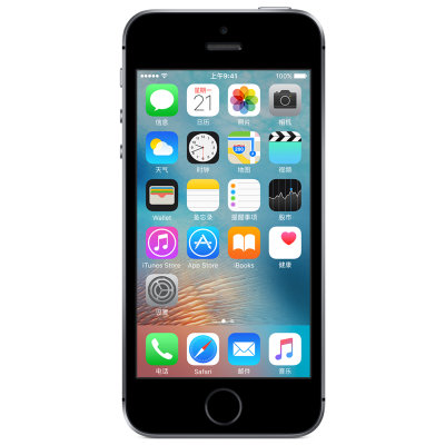 Apple iPhone SE 深空灰 64G 4G手机 （全网通版）