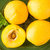 【鲜果先品】黄金油桃4斤第4张高清大图