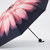 NINORIVA雏菊黑胶三折晴雨伞 紫外线防晒伞(粉红色)第2张高清大图