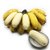 新鲜大蕉/芭蕉 新鲜水果产地直发广东农家特产非粉蕉banana*7(80斤)第3张高清大图