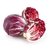 【顺丰】新鲜落地球生菜 紫苣 红菊苣 红叶包菜 沙拉菜(500g)第4张高清大图