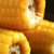 玉米新鲜10支家用早餐金刀穗黄玉米棒真空非转基因东北糯甜粘玉米(绿色 自定义)第5张高清大图