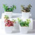 令高家居仿真花假花绿北欧植物创意多肉小盆栽装饰品绿植现代简约(I)第3张高清大图