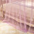 黛丝丹奴蚊帐三开门加粗公主风落地支架1.2/1.5/1.8m2米床双人家用(浅紫色 1.2x2m（22mm支架）)第5张高清大图