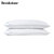 美国brookstone 枕头两件套 羽丝绒枕可机洗枕头防螨双人枕头第3张高清大图