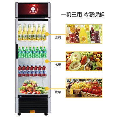 中冷（ZL）单门展示柜立式冷藏柜保鲜柜水果保鲜柜啤酒柜厨房柜冷柜 商用展示柜饮料柜冰箱冰柜(LC-228升)