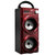 双诺（sangnou)声美HJ-229 多功能户外手提音箱（红色）第3张高清大图