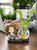 创意花瓶客厅插花小摆件装饰品透明玻璃器皿水养植物绿萝水培花器第2张高清大图