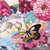 富安娜家纺家居毛毯毯子双层云毯双人盖毯蕊香蝶迷橱窗花 粉色180x200cm第3张高清大图
