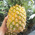 【鲜果先品】海南香水菠萝5斤热带新鲜水果（约2-4个）第5张高清大图