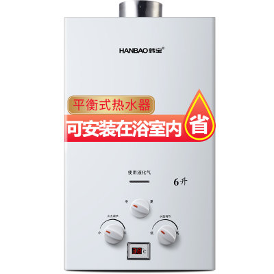韩宝（HANBAO）6升平衡式热水器燃气天然气 液化气煤气浴室内燃气热水器DSP01-6(不包安装)