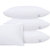 黛格轻奢床上用品 五星级酒店全棉枕头 单双人枕芯(4 默认)第2张高清大图