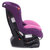 好孩子CS800E-W-L099汽车安全座椅（紫色）第4张高清大图