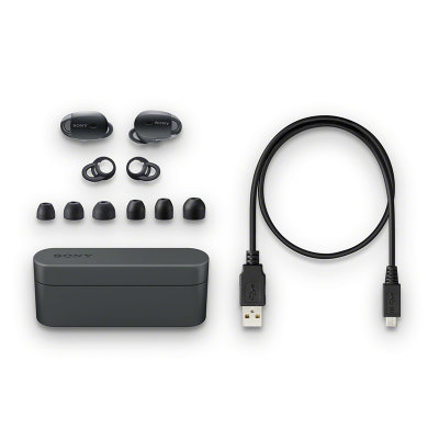 索尼（SONY）WF-1000X 入耳式无线降噪耳机 降噪豆(黑色)